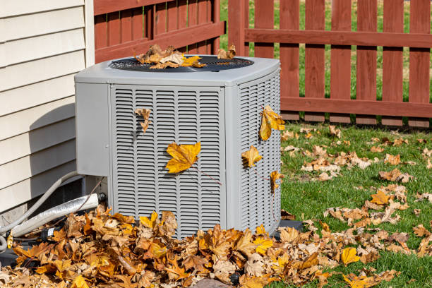 Best HVAC maintenance near me  in Lake Stickney, WA